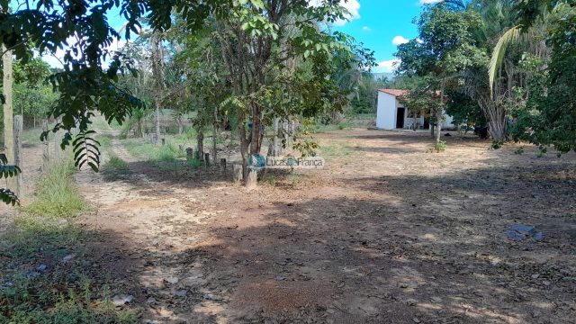 Chácara no distrito de Santa Rosa – 02 hectares