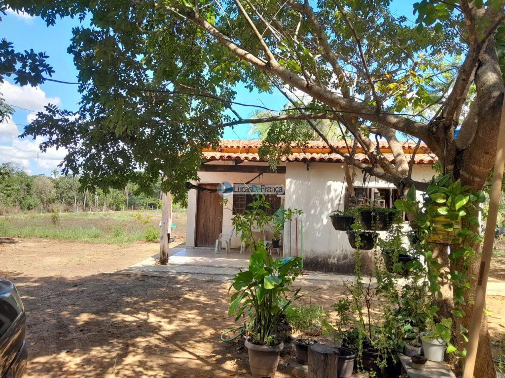 Chácara no distrito de Santa Rosa (9)