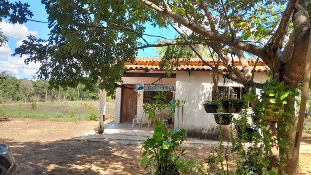 Chácara no distrito de Santa Rosa – 02 hectares