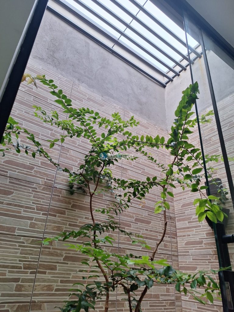 Casa no Setor Militar (27)