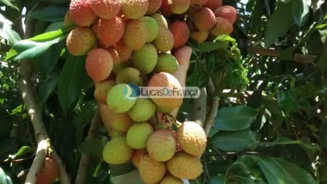 Chácara na Rajadinha