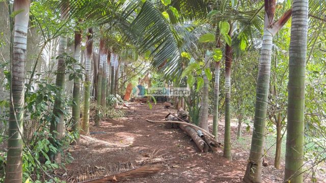 Chácara na Rajadinha