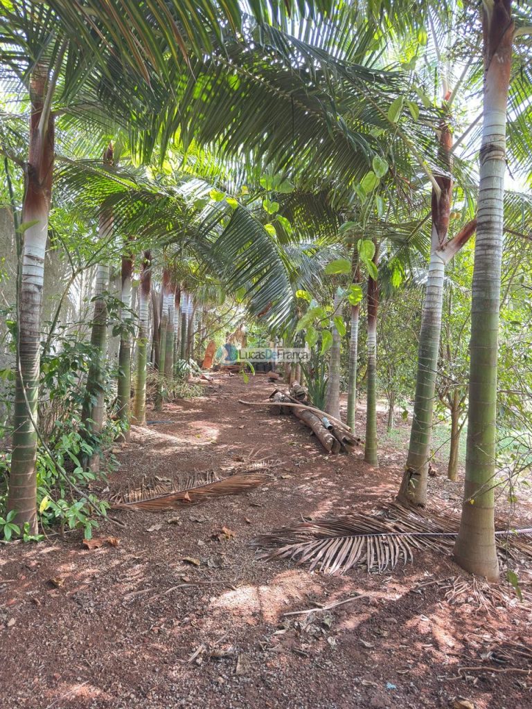 chácara na Rajadinha (3)