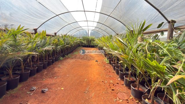 Chácara na Rajadinha