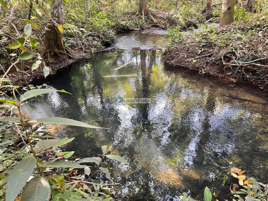 chácara na Rajadinha (7)