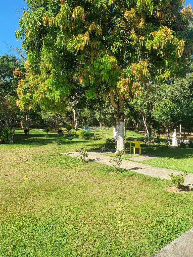 sítio espetacular no Agrovale (10)