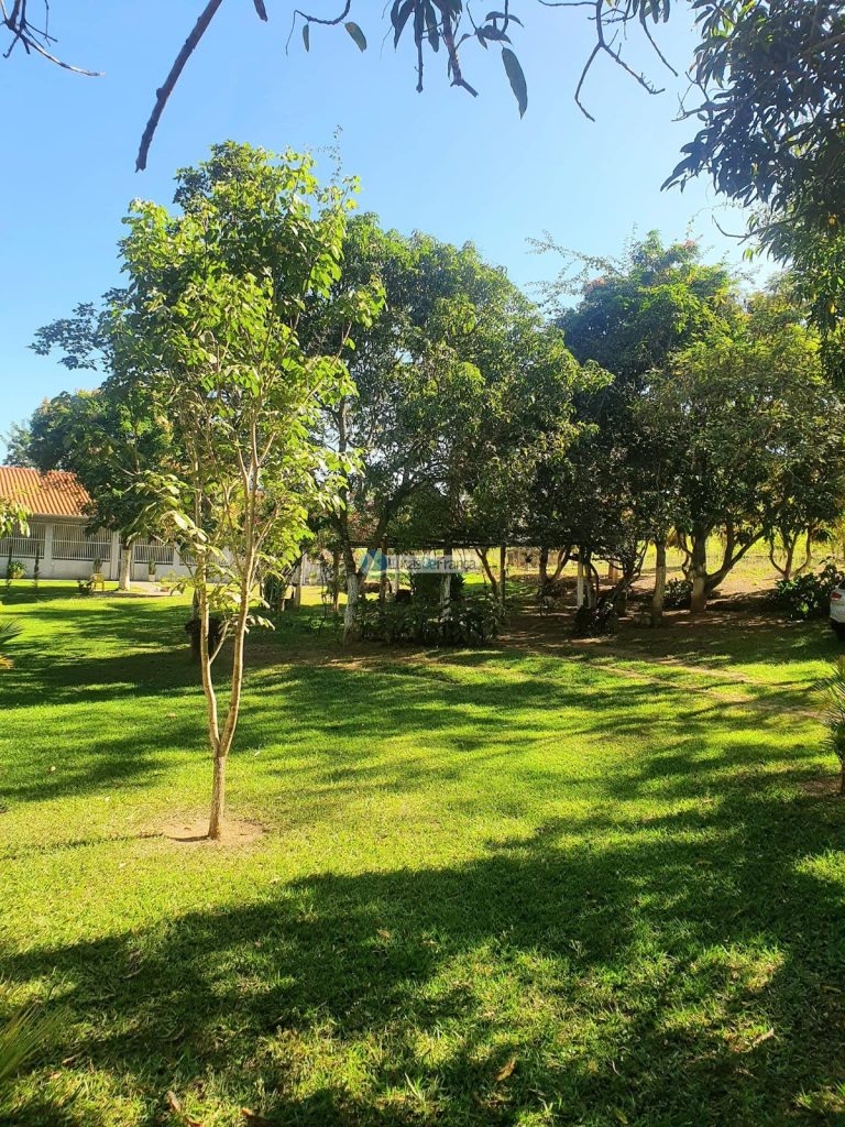 sítio espetacular no Agrovale (11)