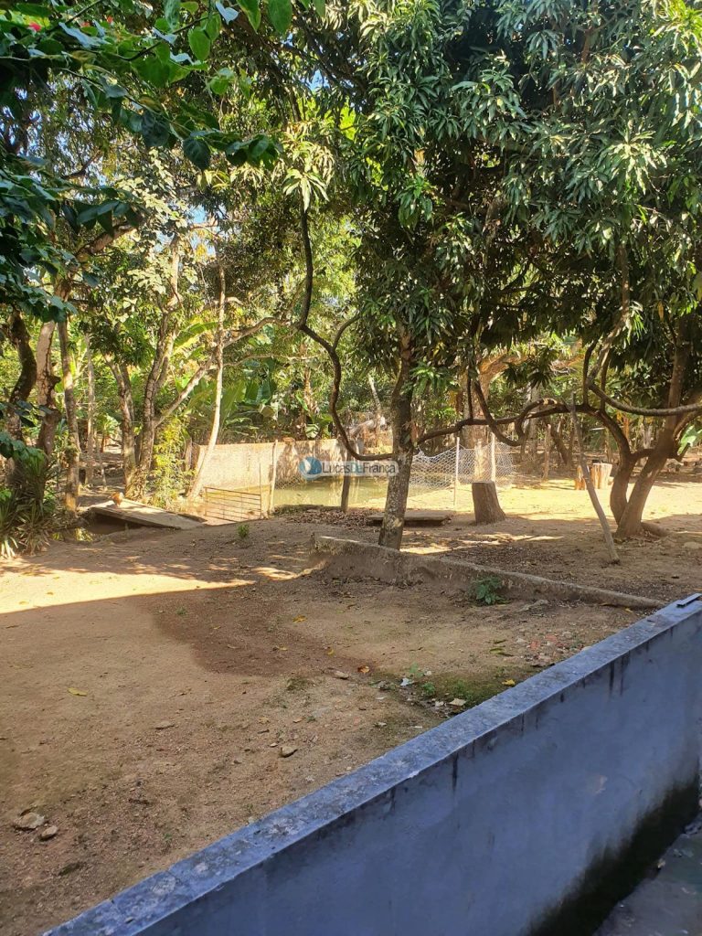 sítio espetacular no Agrovale (12)