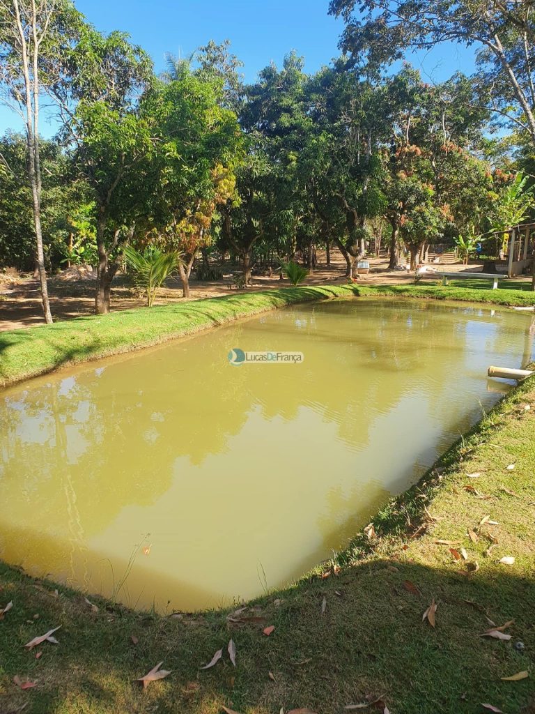 sítio espetacular no Agrovale (14)