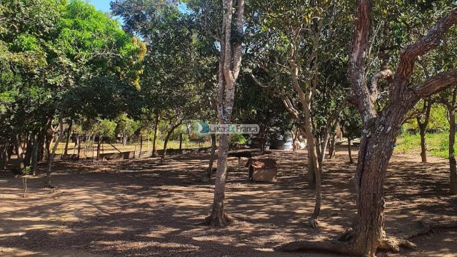 Sítio espetacular no Agrovale, atrás do Vale do Amanhecer