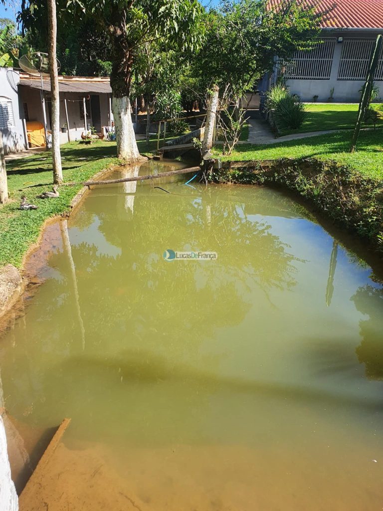 sítio espetacular no Agrovale (16)