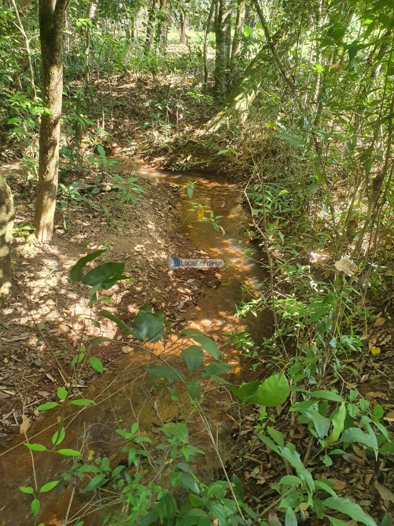 sítio espetacular no Agrovale (17)