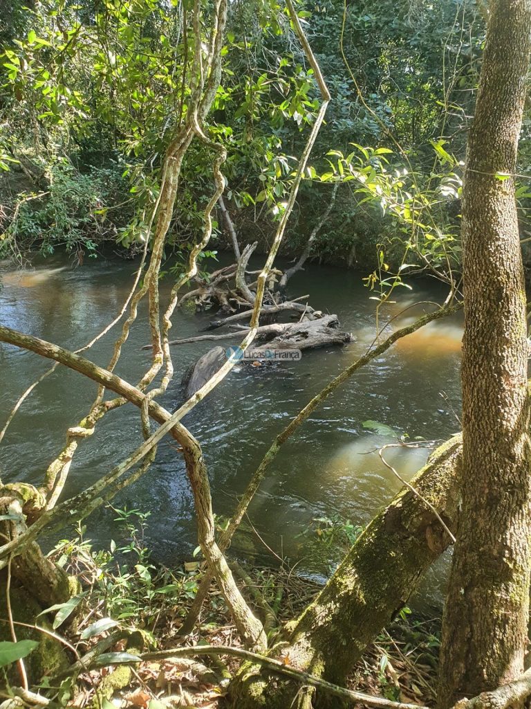 sítio espetacular no Agrovale (19)