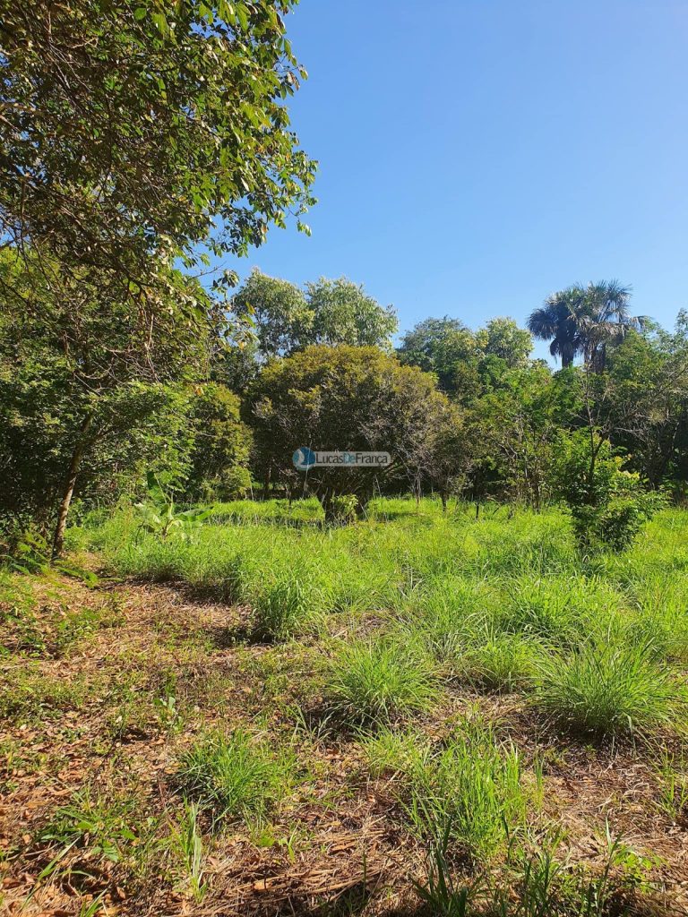 sítio espetacular no Agrovale (23)