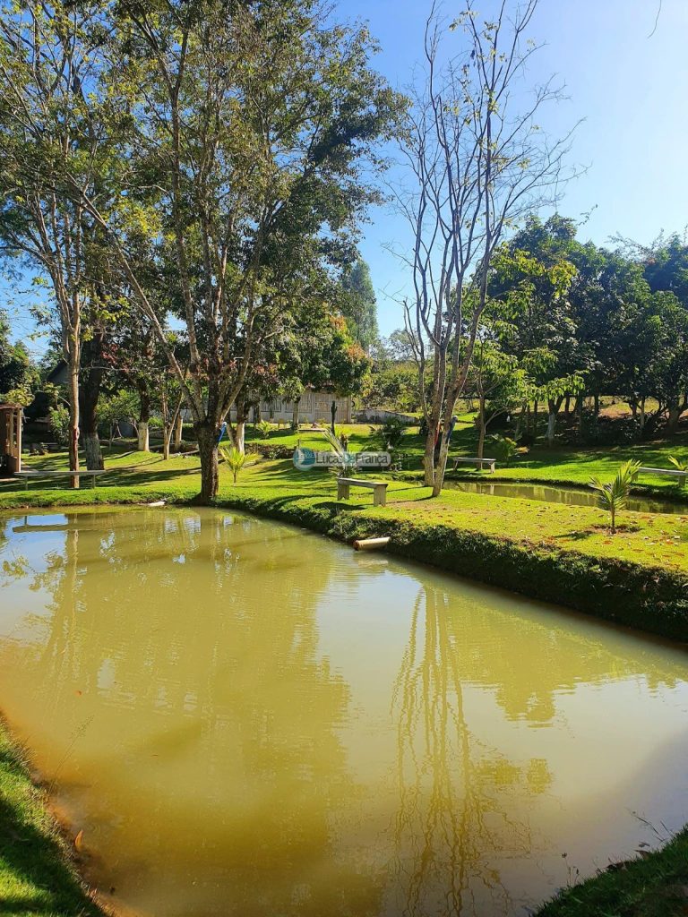 sítio espetacular no Agrovale (25)