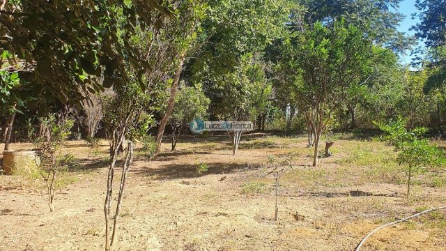 Sítio espetacular no Agrovale, atrás do Vale do Amanhecer