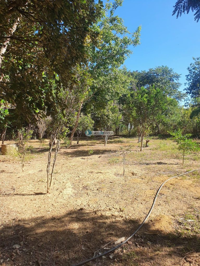 sítio espetacular no Agrovale (35)