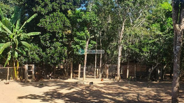 Sítio espetacular no Agrovale, atrás do Vale do Amanhecer