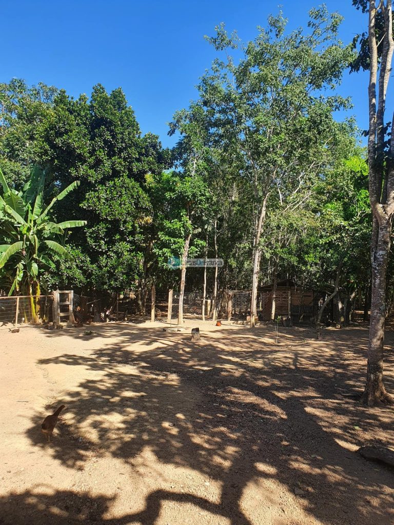 sítio espetacular no Agrovale (6)