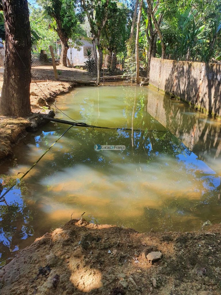 sítio espetacular no Agrovale (8)