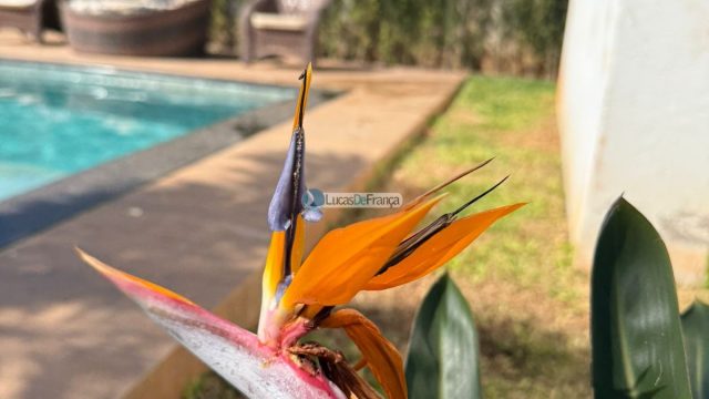 Casa de alto padrão no Cond. Jardim Oriente