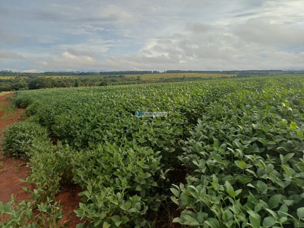 Chácara 32 hectares localizada no núcleo rural Taquara (10)