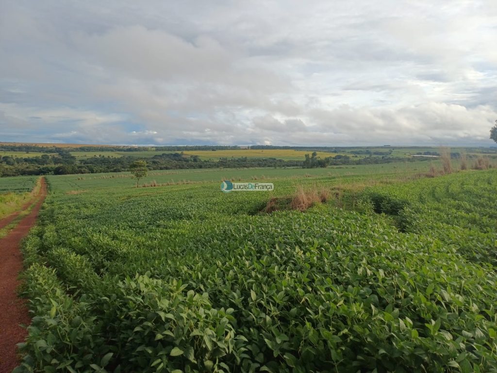 Chácara 32 hectares localizada no núcleo rural Taquara (12)