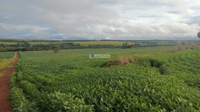 Chácara 32 hectares localizada no núcleo rural Taquara