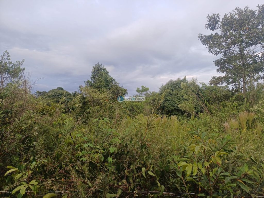 Chácara 32 hectares localizada no núcleo rural Taquara (13)