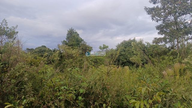 Chácara 32 hectares localizada no núcleo rural Taquara