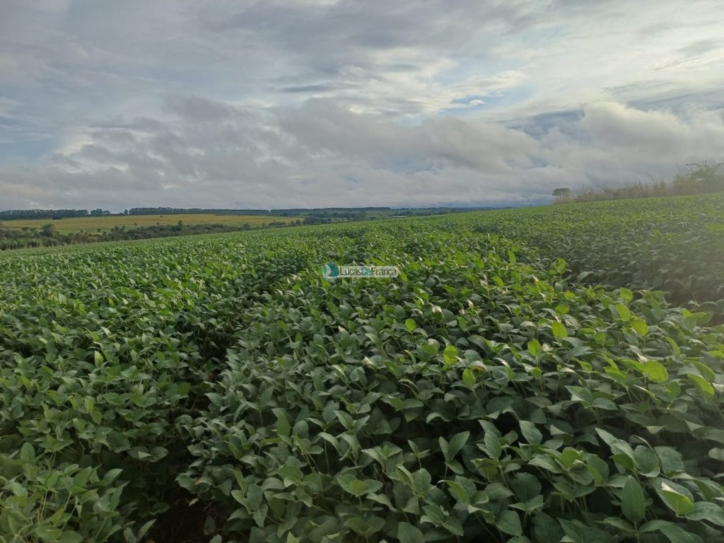 Chácara 32 hectares localizada no núcleo rural Taquara (15)