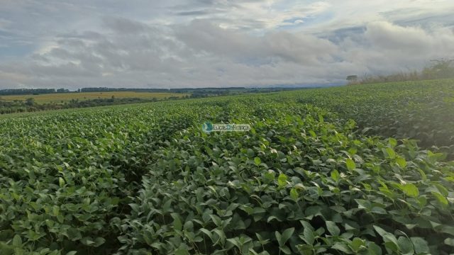 Chácara 32 hectares localizada no núcleo rural Taquara