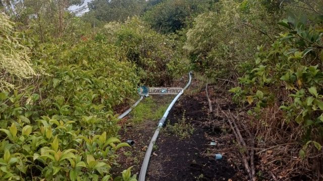 Chácara 32 hectares localizada no núcleo rural Taquara