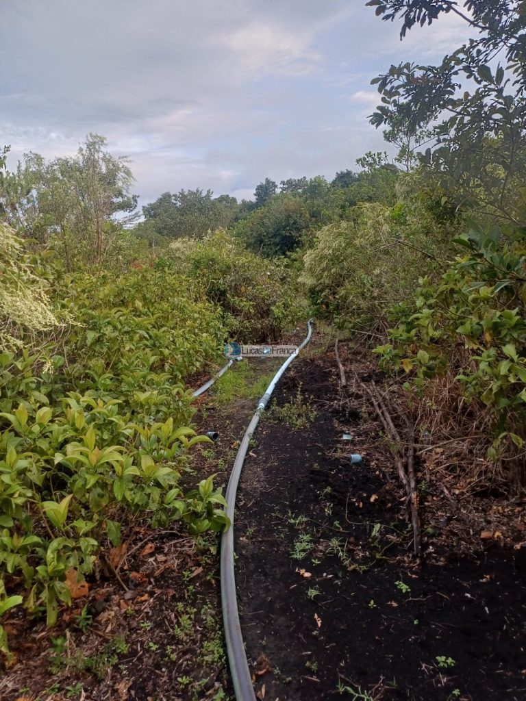 Chácara 32 hectares localizada no núcleo rural Taquara (16)