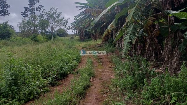 Chácara 32 hectares localizada no núcleo rural Taquara