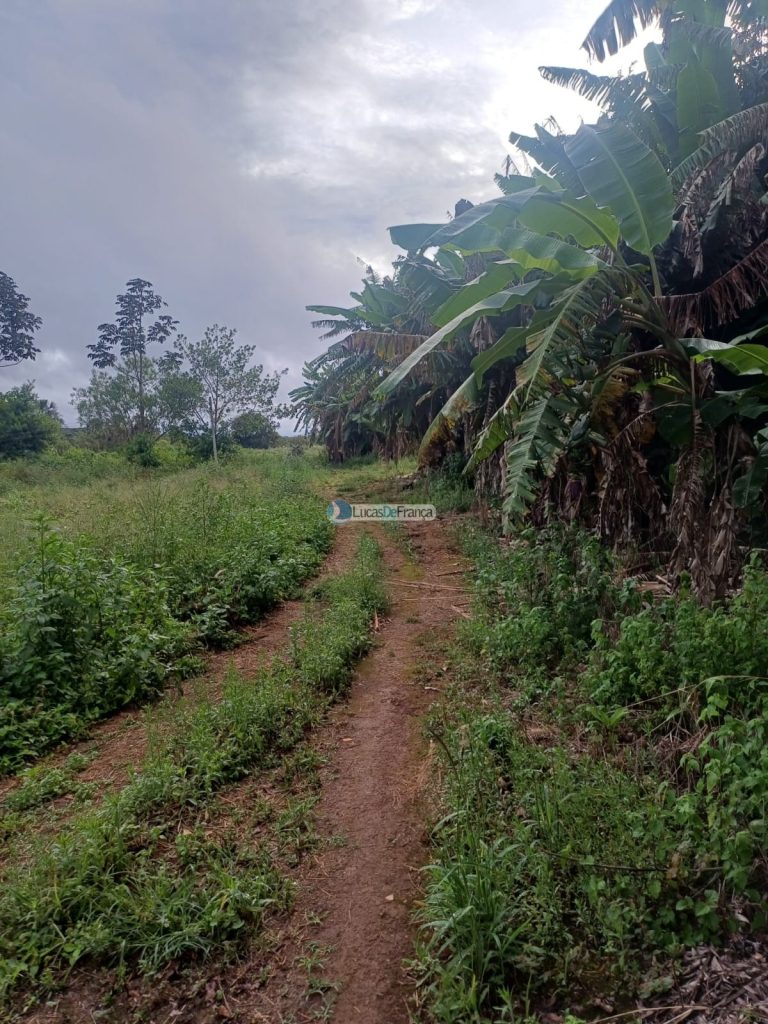 Chácara 32 hectares localizada no núcleo rural Taquara (17)