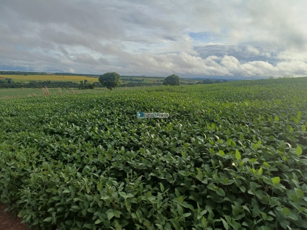 Chácara 32 hectares localizada no núcleo rural Taquara (18)