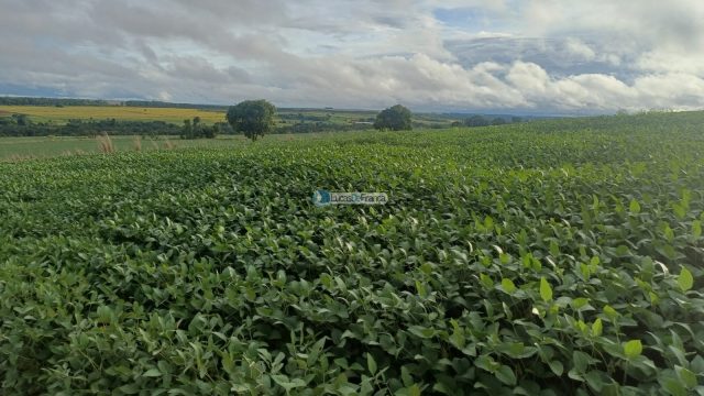 Chácara 32 hectares localizada no núcleo rural Taquara