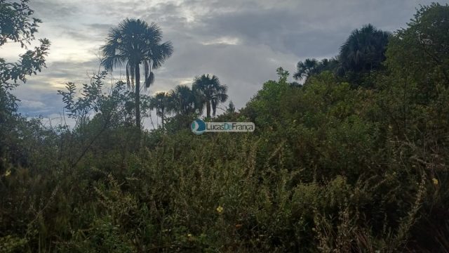 Chácara 32 hectares localizada no núcleo rural Taquara