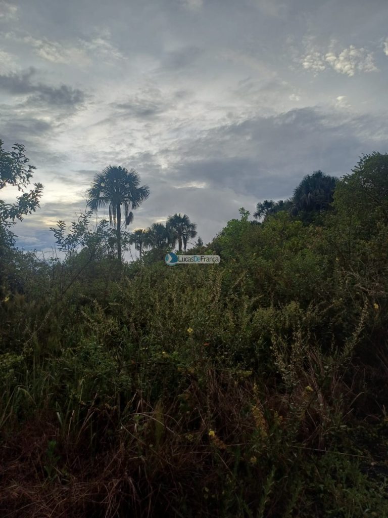 Chácara 32 hectares localizada no núcleo rural Taquara (19)