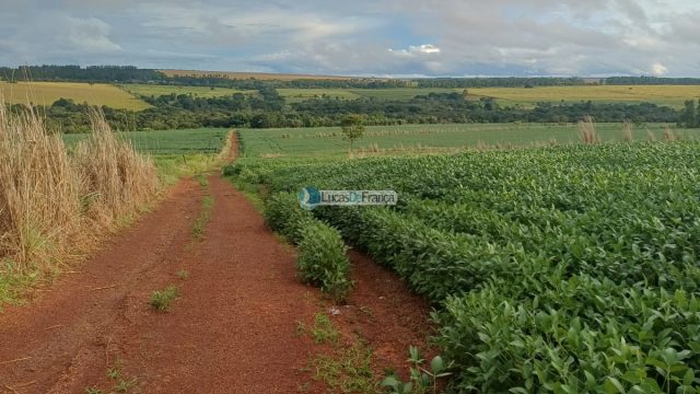 Chácara 32 hectares localizada no núcleo rural Taquara