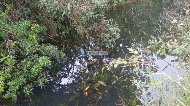 Chácara 32 hectares localizada no núcleo rural Taquara