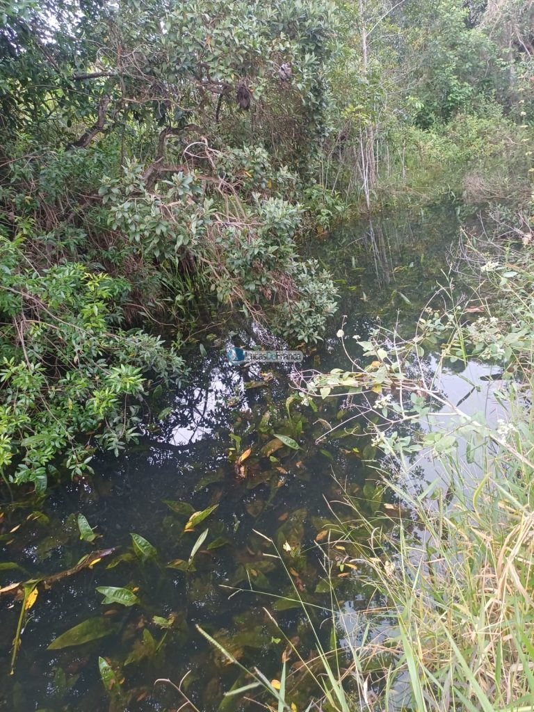 Chácara 32 hectares localizada no núcleo rural Taquara (21)