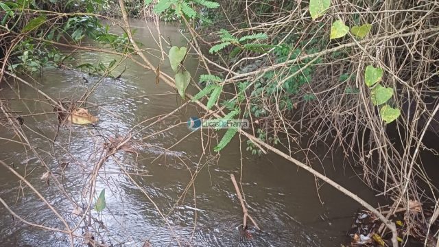 Chácara 32 hectares localizada no núcleo rural Taquara