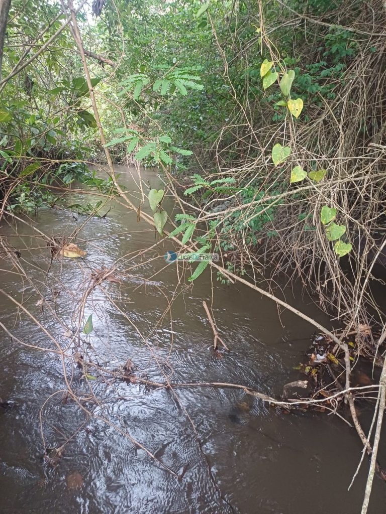 Chácara 32 hectares localizada no núcleo rural Taquara (22)