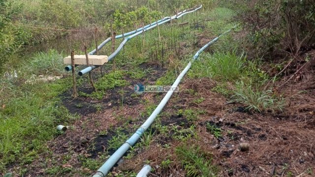 Chácara 32 hectares localizada no núcleo rural Taquara