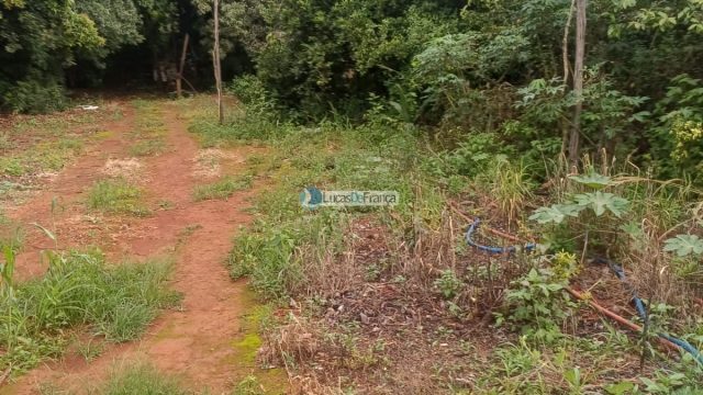 Chácara 32 hectares localizada no núcleo rural Taquara