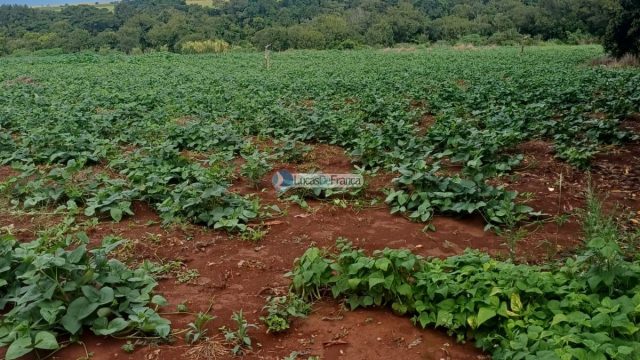 Chácara 32 hectares localizada no núcleo rural Taquara