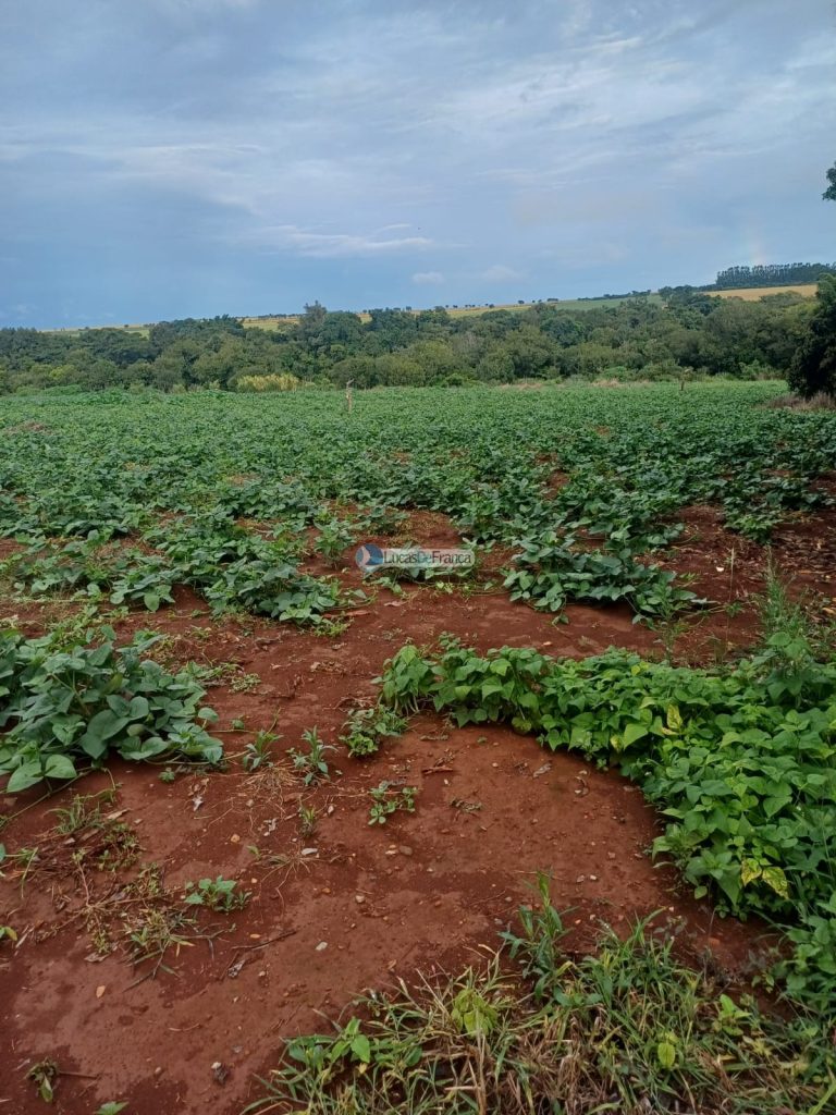 Chácara 32 hectares localizada no núcleo rural Taquara (29)