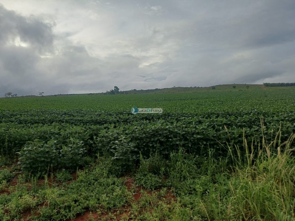 Chácara 32 hectares localizada no núcleo rural Taquara (3)